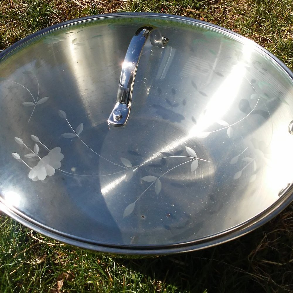 2 PIECE STAINLESS STEEL FRY PAN PRINCESS HOUSE NEW